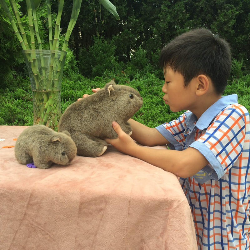 Lovely Cavia Porcellus Netherl - огляд і ціна Home Decor Netherlands