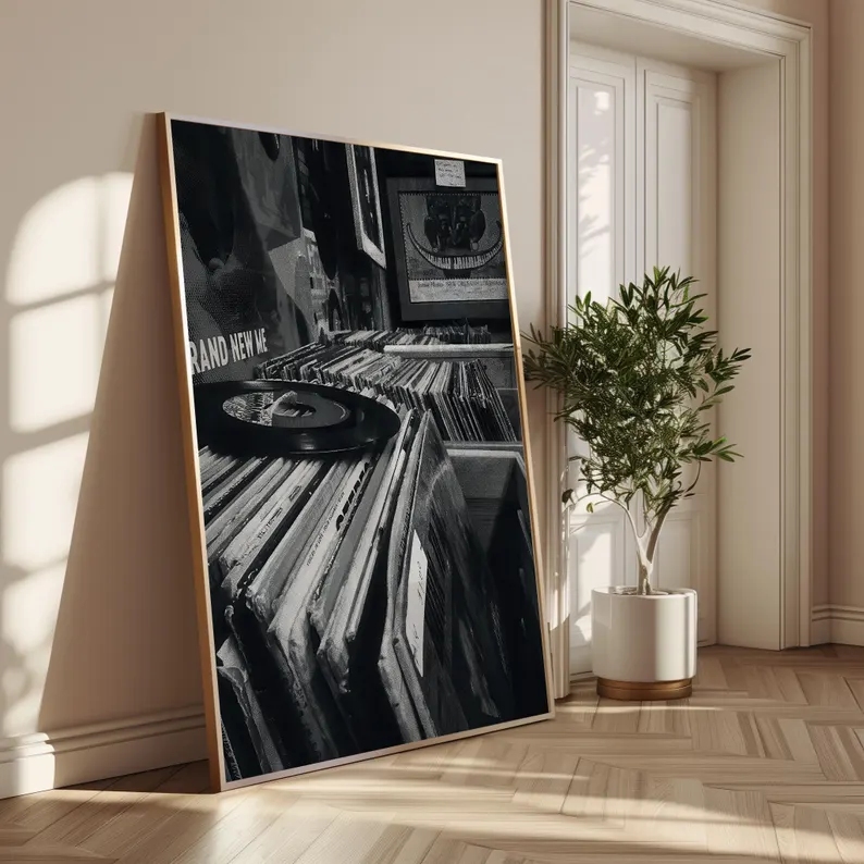 Modern Vinyl Record Store Blac - огляд і ціна Home Decor White